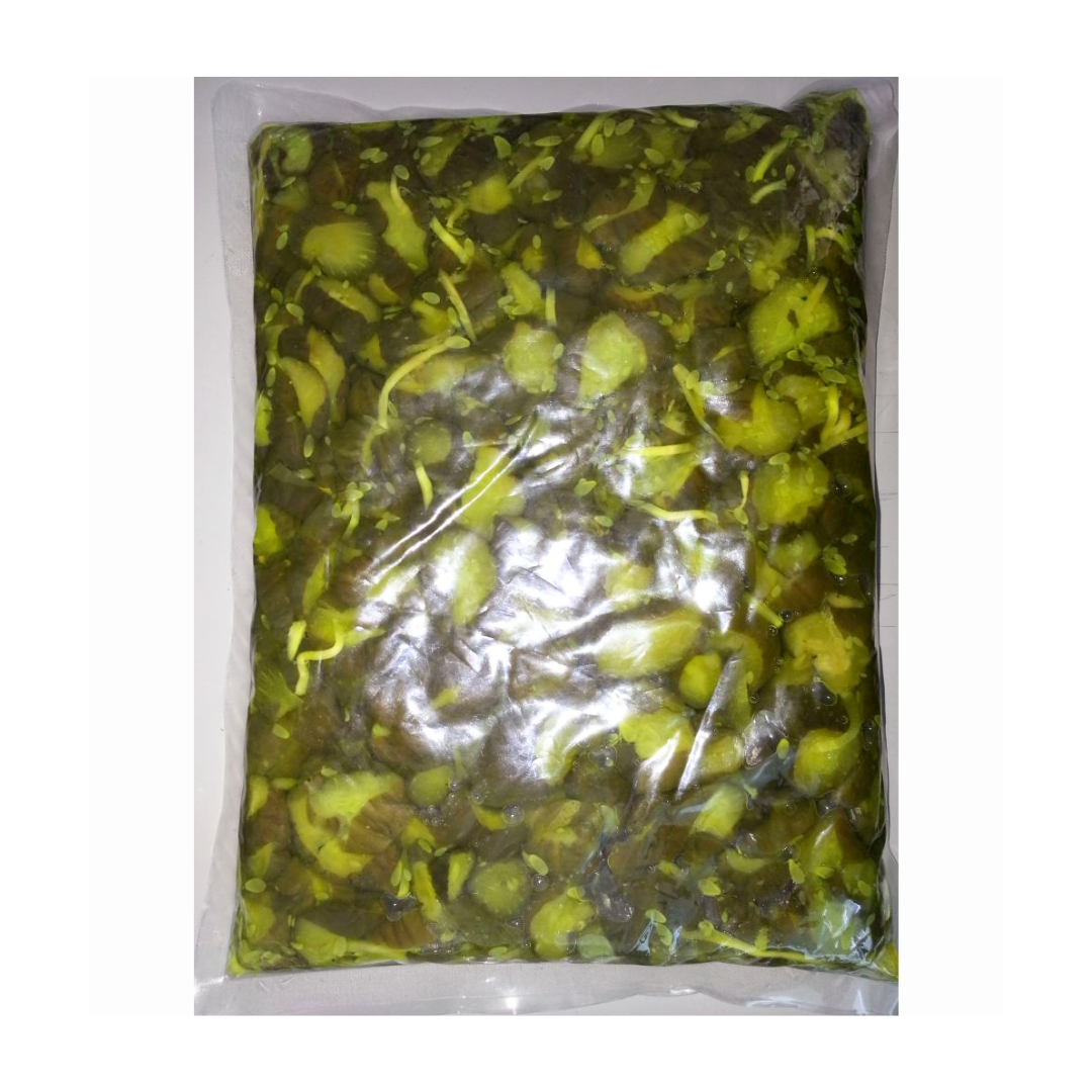 TOSEN Ao Kappa 1.3kg