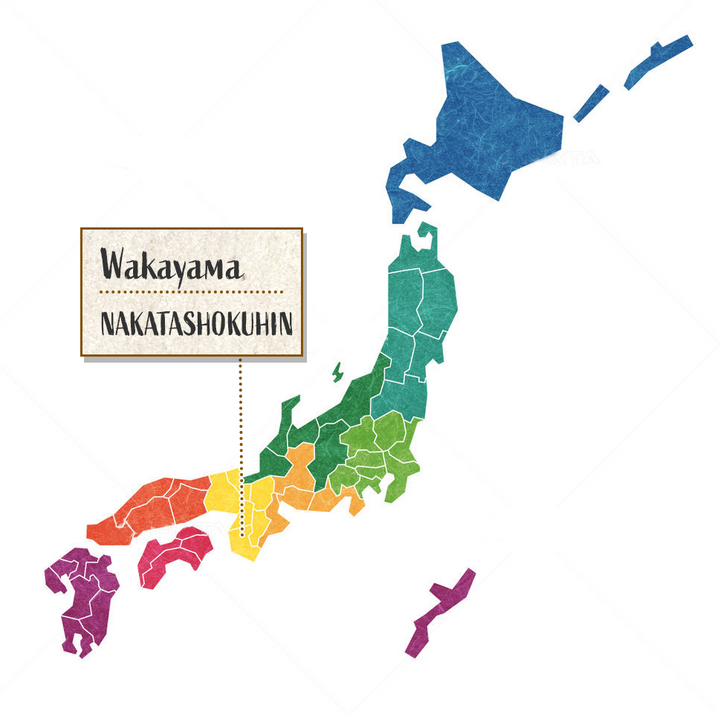 NAKATA Kokuto Umeshu 720ml