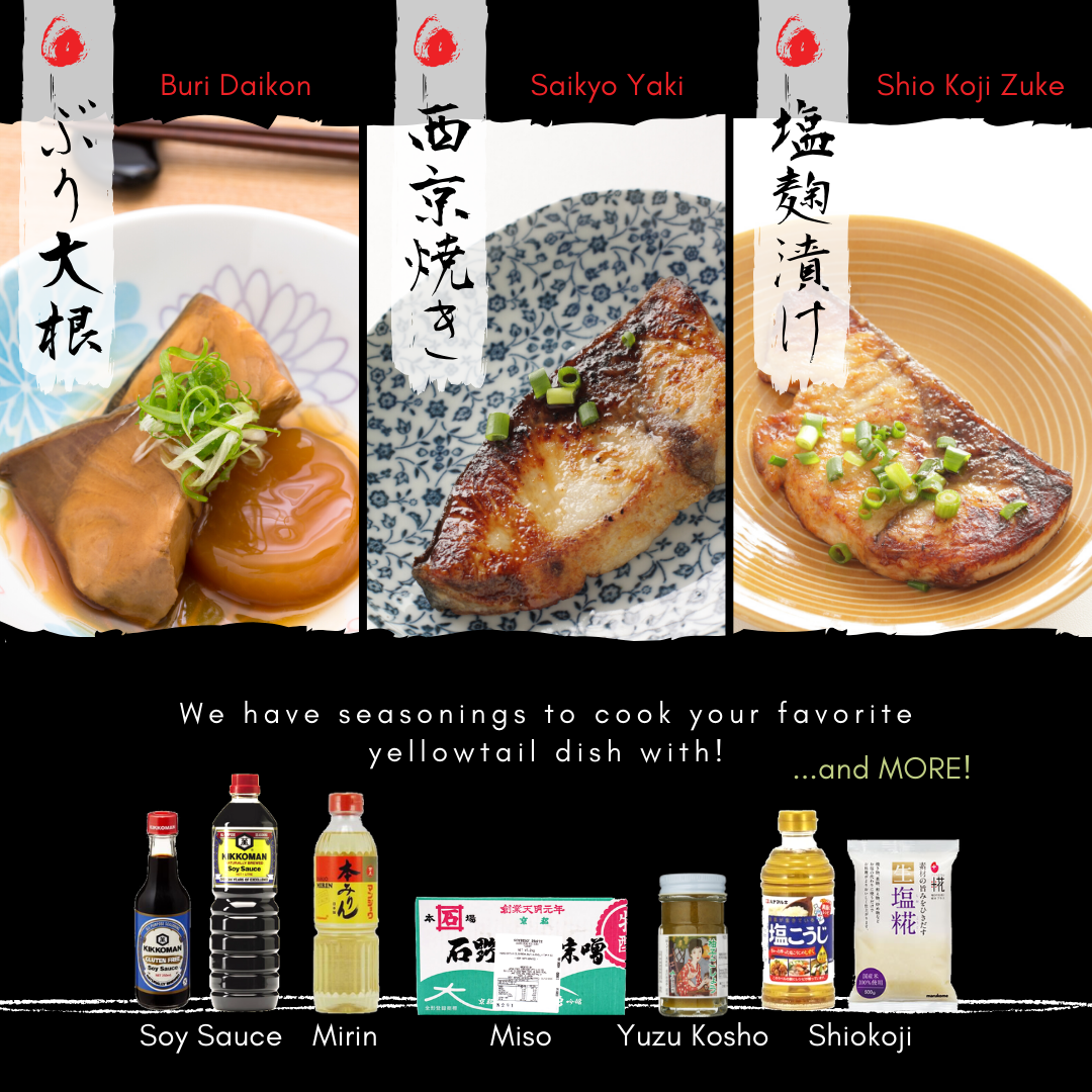ONSUI Buri Fillet 2kg up Sashimi Grade