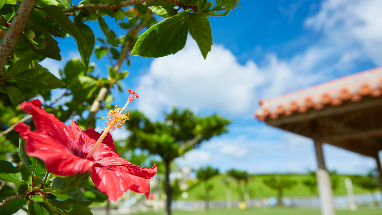 Okinawa