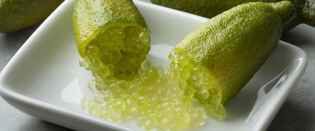 Finger Lime Ruby Red 45g Frozen